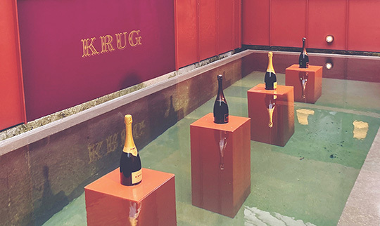 Cellar Guide What to Drink 540x322