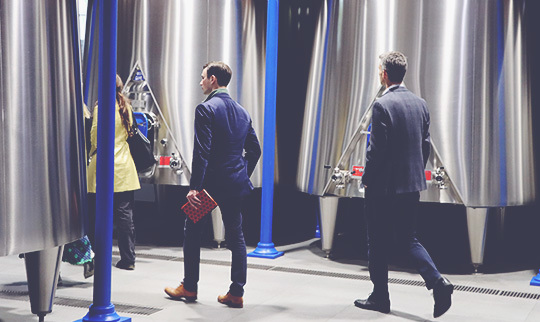 Cellar Guide What to Invest 540x322