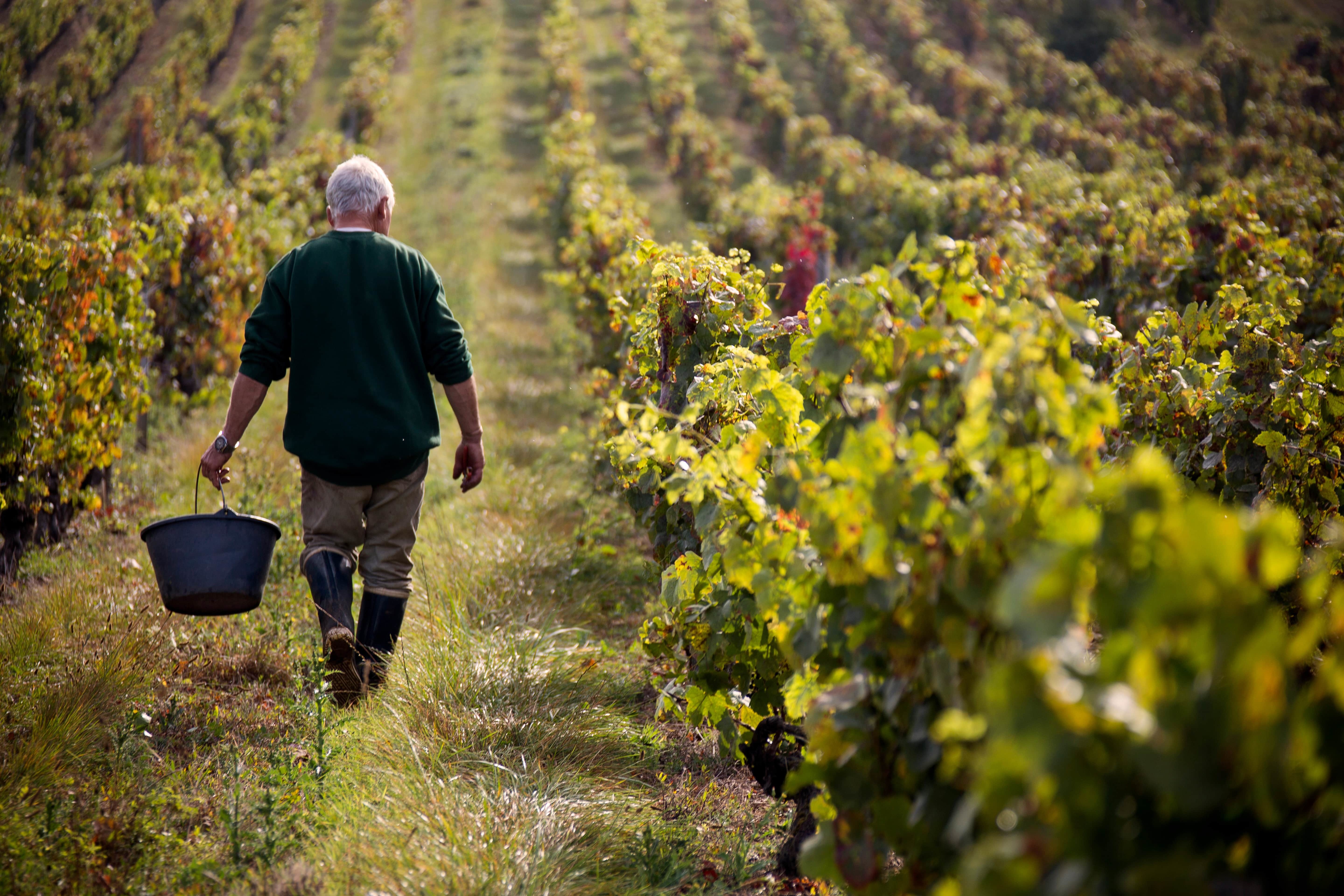 Bordeaux Index Fine Wine
