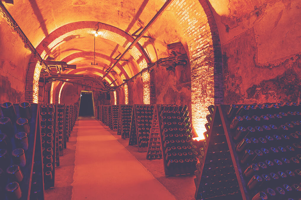 Champagne Guide - Cellar