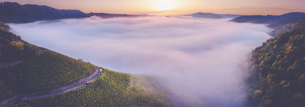 Guide to German Wine - Aerial view