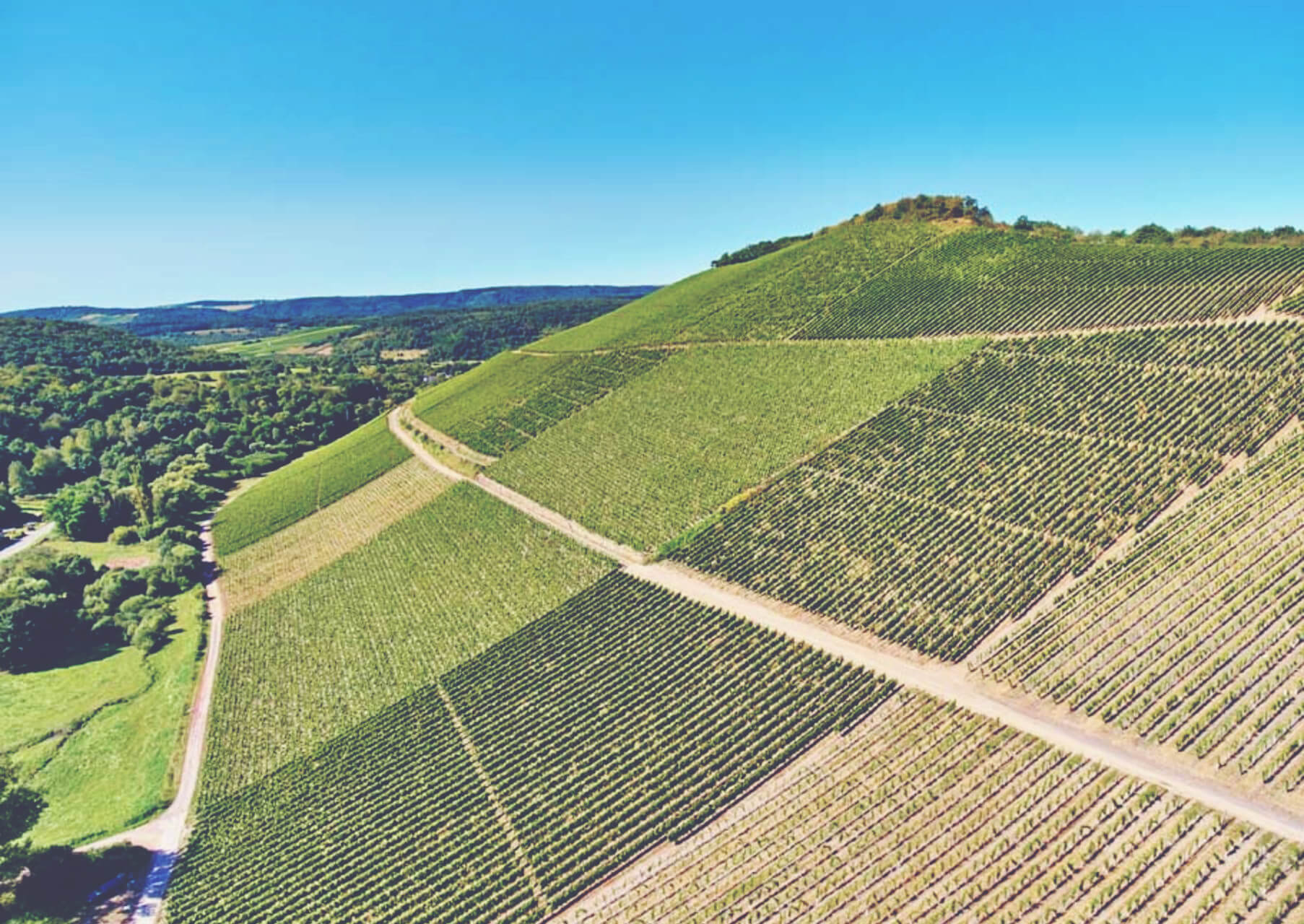 Guide to German Wine - Vineyard slopes
