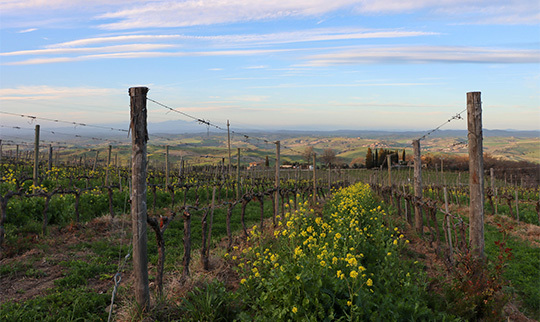 Tuscany DB Blog 540x322
