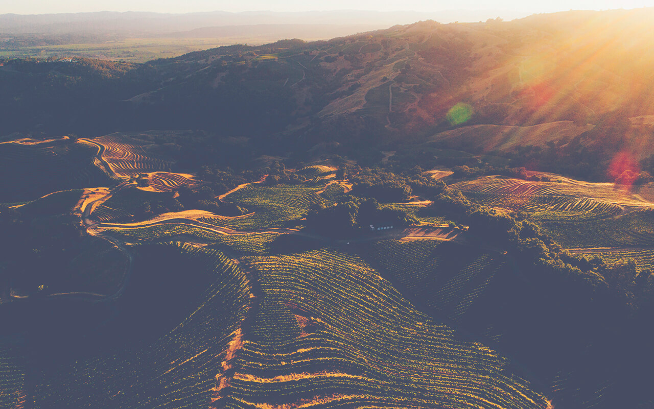 Stonestreet vineyards