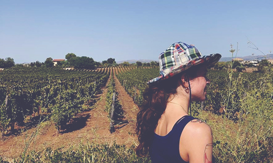 Camilla in Sicily Arianna Occhipinti vineyards 540x322